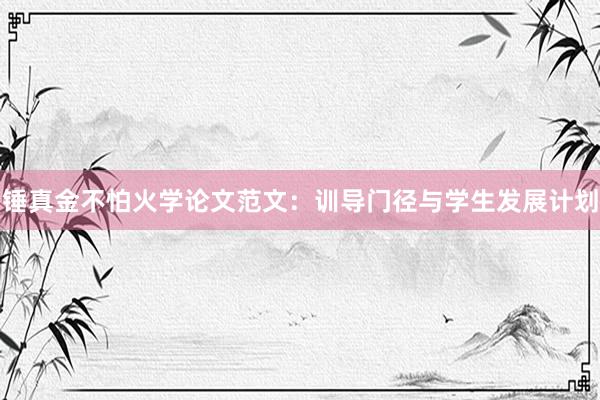锤真金不怕火学论文范文：训导门径与学生发展计划