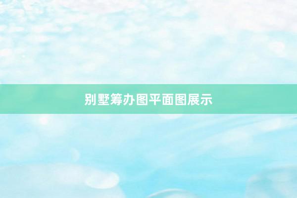 别墅筹办图平面图展示