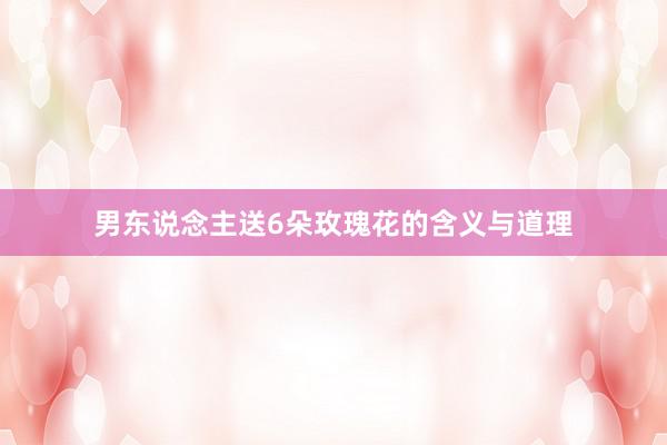 男东说念主送6朵玫瑰花的含义与道理
