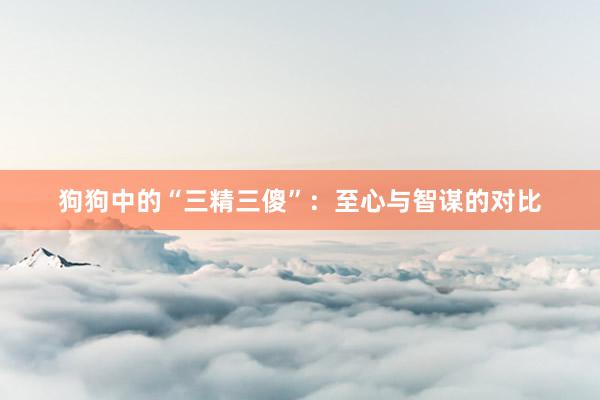 狗狗中的“三精三傻”：至心与智谋的对比